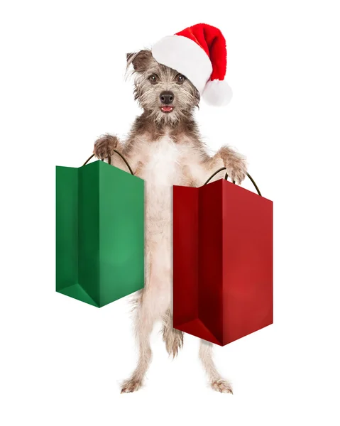 Christmas dog holding shopping bags — Stock Photo, Image