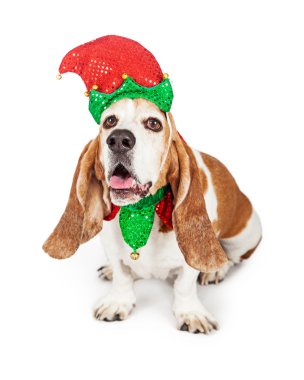 Noel Elf Basset Hound Dog