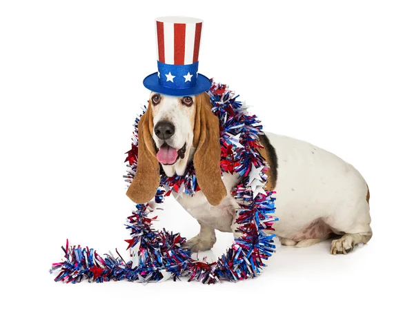 Amerykański patriotyczne Basset Hound Dog — Zdjęcie stockowe