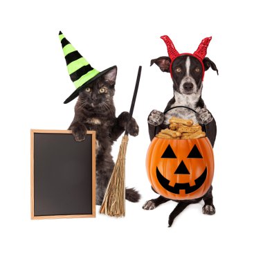 Halloween Cat and Dog with Blank Chalkboard