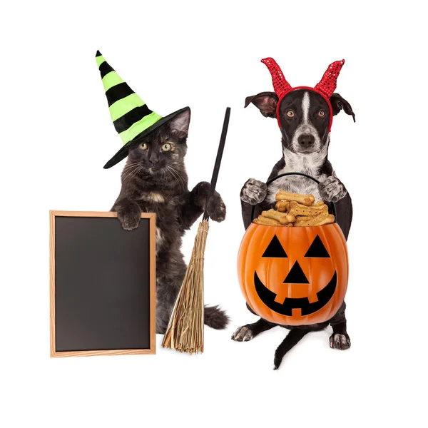 Halloween Gato e Cão com Chalkboard em branco — Fotografia de Stock