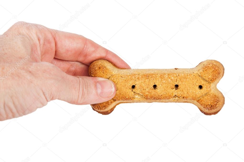 Hand  with bone shaped dog biscuit