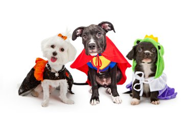 Cute Puppy Dogs Wearing Halloween Costumes clipart