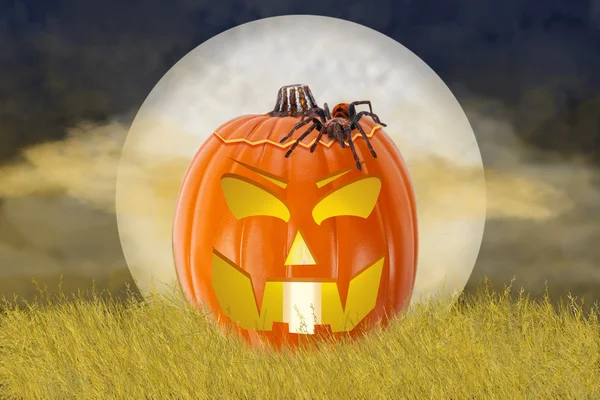 Halloween Jack-O-Lantern örümcek alanı — Stok fotoğraf