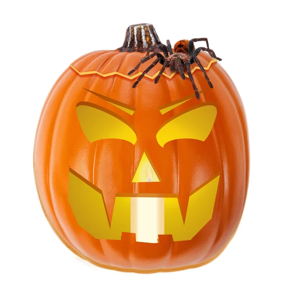 Scary Halloween Jack-O-lantaarn met Tarantula Spider — Stockfoto