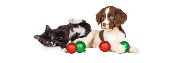 Puppy and kitten playing with Christmas balls — Stock Photo, Image