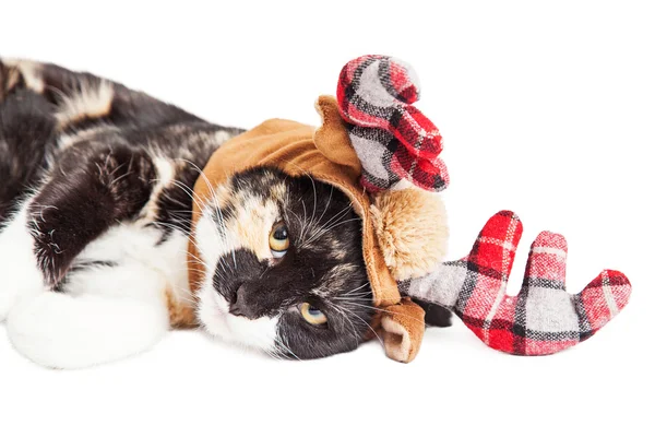 Gatinho vestindo chifres de rena — Fotografia de Stock