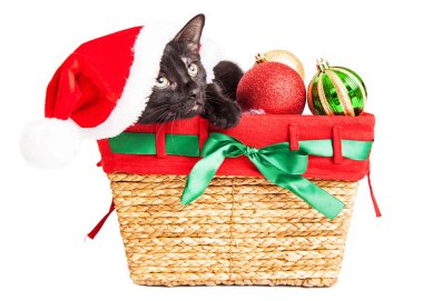 Noel Noel Baba'ya ha kedicik