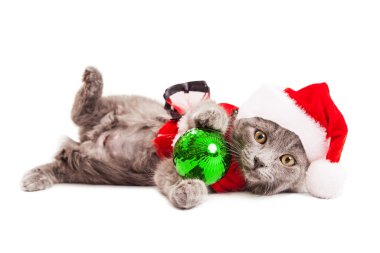Noel Noel Baba kıyafeti de kedi