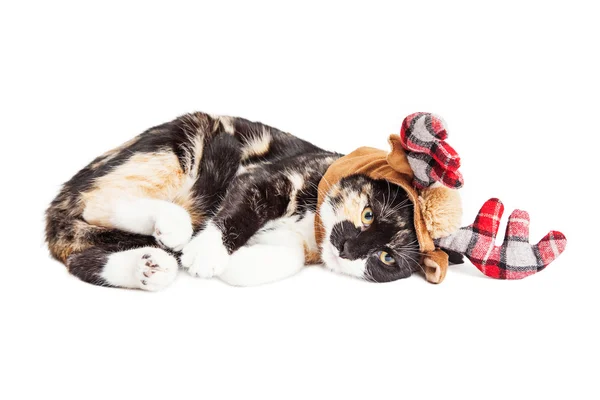 Gattino in corna di renna di Natale — Foto Stock