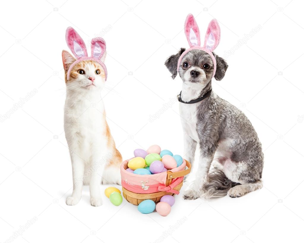 dog and cat with Easter basket of eggs
