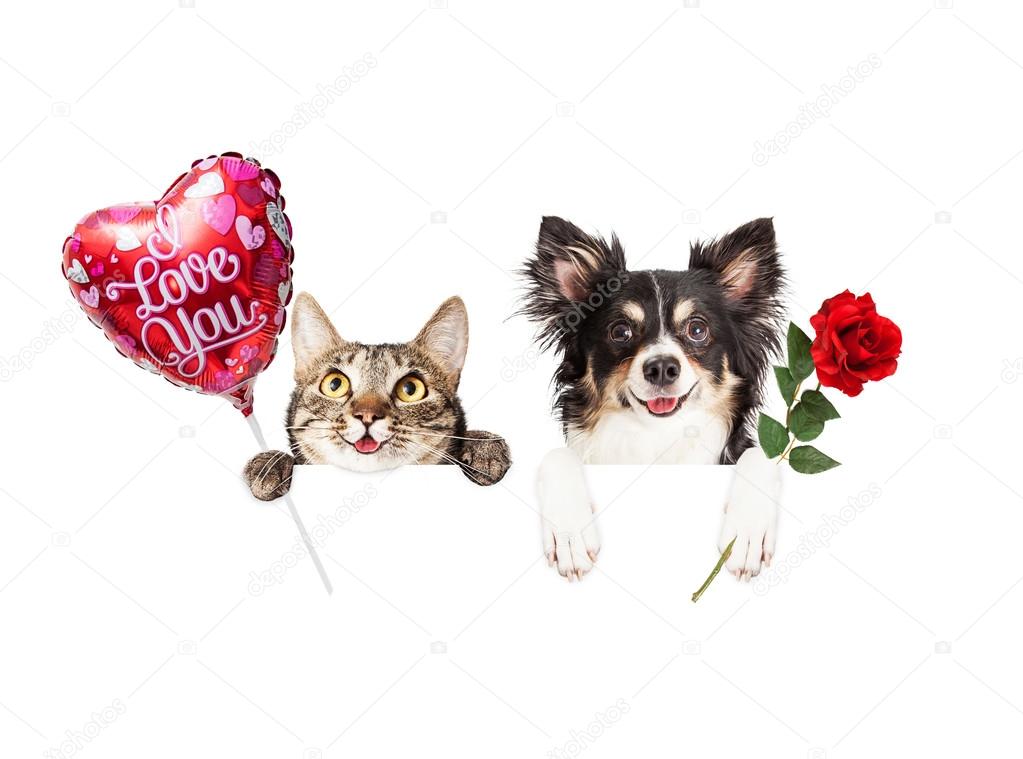 Valentines Cat and Dog with banner