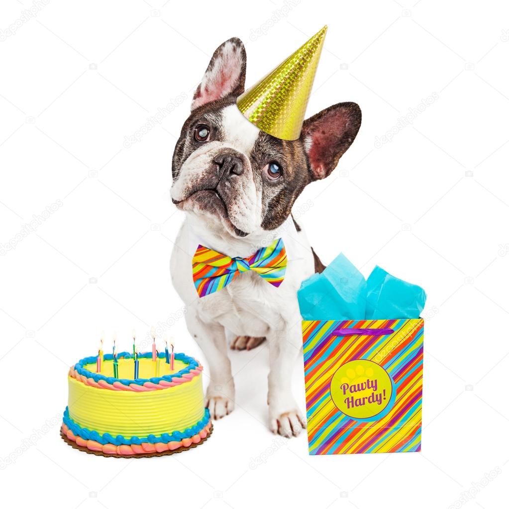 Happy Birthday French Bulldog