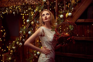 Noel ve yeni yıl büyüsü. Güzel bir Noel arifesinde elinde böğürtlen sepeti tutan şenlikli bir gece elbisesi içinde büyüleyici mutlu bir genç kadın. Işıklar yansın.