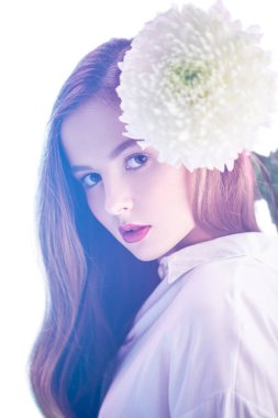 Bahar ve yazın ilham kaynağı. Açık pembe bir sis içinde beyaz kasımpatı çiçeğiyle güzel genç bir kız. Parfüm, kozmetik konsepti.