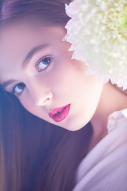 Açık bir sis içinde beyaz kasımpatı çiçeğiyle genç ve güzel bir kızın yakın plan portresi. Baharın ilhamı. Parfüm, kozmetik konsepti.