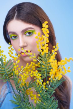 Mavi arka planda parlak makyajlı ve sarı mimoza çiçekli nazik genç bir kadının portresi. Bahar güzeli. Makyaj ve kozmetik. 
