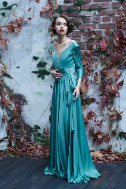 Eski klasik duvarın yanında duran zarif elbiseli güzel, sofistike bir kızın tam boy portresi. Saç ve makyaj 20 'li yılların tarzında.. 