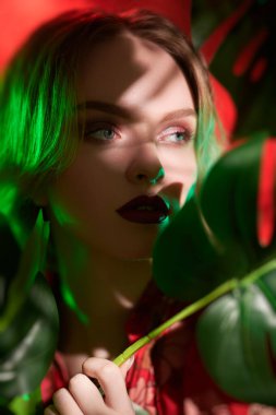 Uzun dalgalı sarı saçlı, parlak makyajlı, tropik yeşillikler arasında kırmızı elbiseli güzel bir kadın model. Güzellik, moda. Orman fotoshoot. 