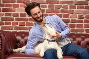 Mutlu genç adam evcil köpeği Golden Retriever ile oynuyor..