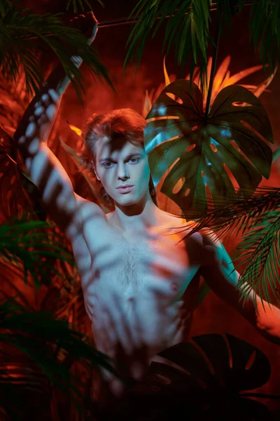 Jungle photoshoot. Handsome young man fashion model with naked torso poses among tropical plants. Men\'s beauty. Perfumery and beauty products.