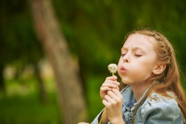 Cute girl blows on a dandelion in a summer park. Walk in the park. Happy summer child. clipart