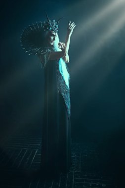 Uzun gri saçlı, zengin bir başlık takmış, koyu renkli bir kalenin ışıltılarında parlak siyah elbisesi olan görkemli ve güzel bir kadının portresi. Kara Kraliçe, Cadı. Cadılar Bayramı.