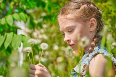 Cute girl holds dandelions in her hands in a green summer park. Walk in the park. Happy summer child. clipart