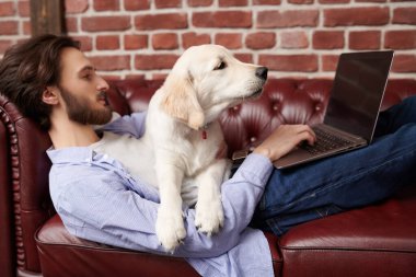 Bir adam ve bir evcil hayvan. Evcil köpeği Golden Retriever ile kanepede uzanan yakışıklı genç adam ve çatı katı tarzı bir odada dizüstü bilgisayarla çalışıyor.. 