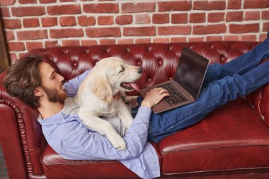 Genç bir adam evcil köpeği Golden Retriever ile bir kanepede uzanıyor ve çatı katı tarzı bir odada dizüstü bilgisayar üzerinde çalışıyor. Bir adam ve bir evcil hayvan. Mutlu