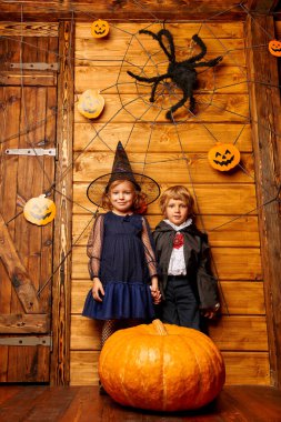 Cadılar Bayramı 'nı cadı ve vampir kostümlü mutlu çocuklar kutluyor. Şeker mi şaka mı? Cadılar Bayramı. 