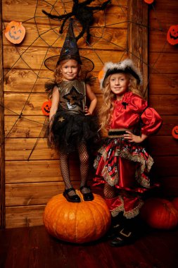 Neşeli kız arkadaşlar eski ahşap evde Cadılar Bayramı kostümleriyle poz veriyorlar. Cadılar Bayramı süsleri ve balkabakları. Cadılar Bayramı partisi.. 