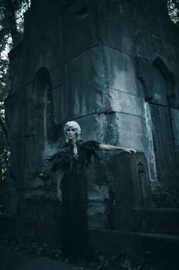 Fantezi Dünyası. Güzel gri saçlı ve zengin siyah elbiseli aristokrat bir dul kadın mezarlıktaki bir mezarlıkta görkemli ve heybetli duruyor. Kara Dul. Cadılar Bayramı.