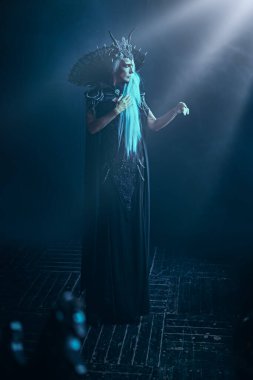 Kara Kraliçe, Cadı. Uzun gri saçlı, zengin başlıklı ve koyu renkli bir kaledeki zengin siyah elbiseli görkemli ve güzel bir kadının portresi. Cadılar Bayramı.