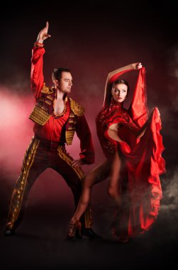 Rumba ortağı