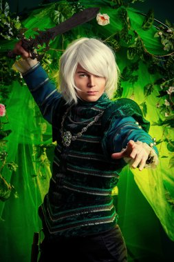 Anime elf kahraman