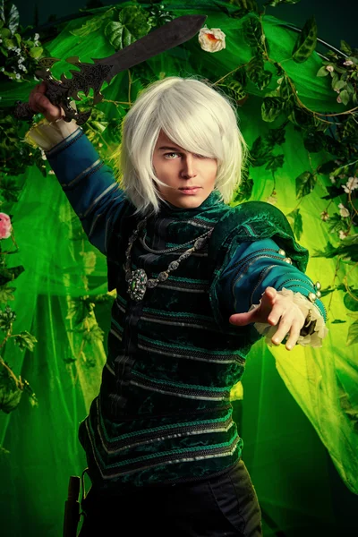 Anime elf kahraman