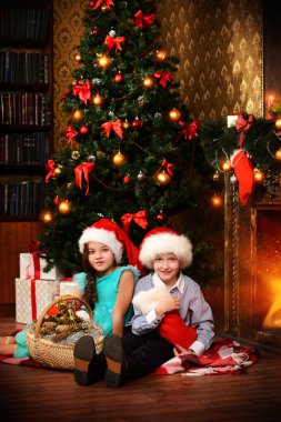 erkek ve kız kardeş