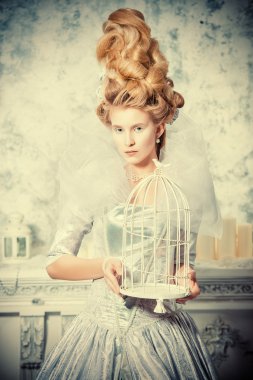 zenginlik. Buz kraliçesi kavramı.