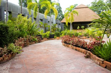 Konut için yol. Manikürlü Bahçe tasarımı.