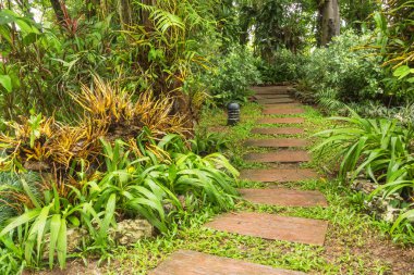 Yağmurlu bir gün bahçesinde yol.