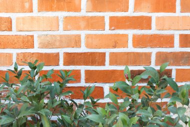 Kırmızı tuğla duvar grunge arka plan ile yaprak.