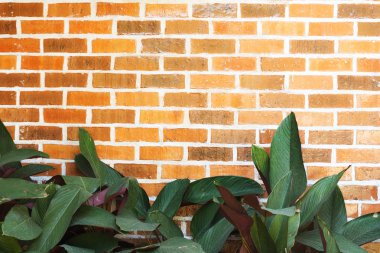 Kırmızı tuğla duvar grunge arka plan ile yaprak.