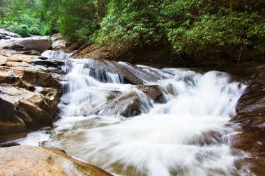 Forrest uzun pozlama şelale.