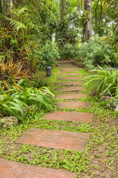 Caminho no jardim em dia chuvoso . — Fotografia de Stock