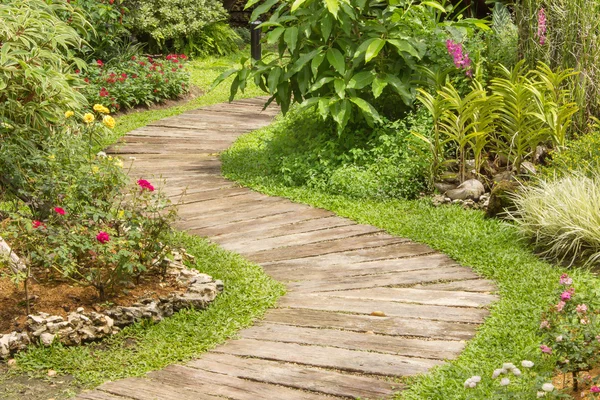 Paisajismo en el jardín. El camino en el jardín. — Foto de Stock