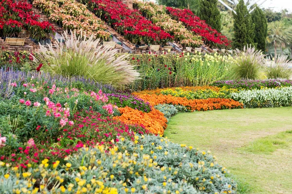 Jardim paisagístico com canteiro de flores e plantas coloridas — Fotografia de Stock