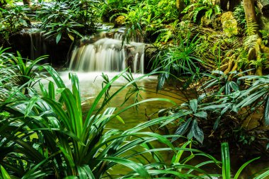 şelale Bahçe Tasarım.