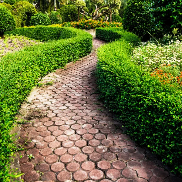 Pathway in garden design. — Stock Photo, Image