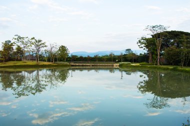 Lagün ile peyzaj Bahçe tasarımı